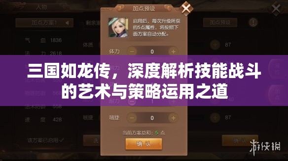 三国如龙传，深度解析技能战斗的艺术与策略运用之道
