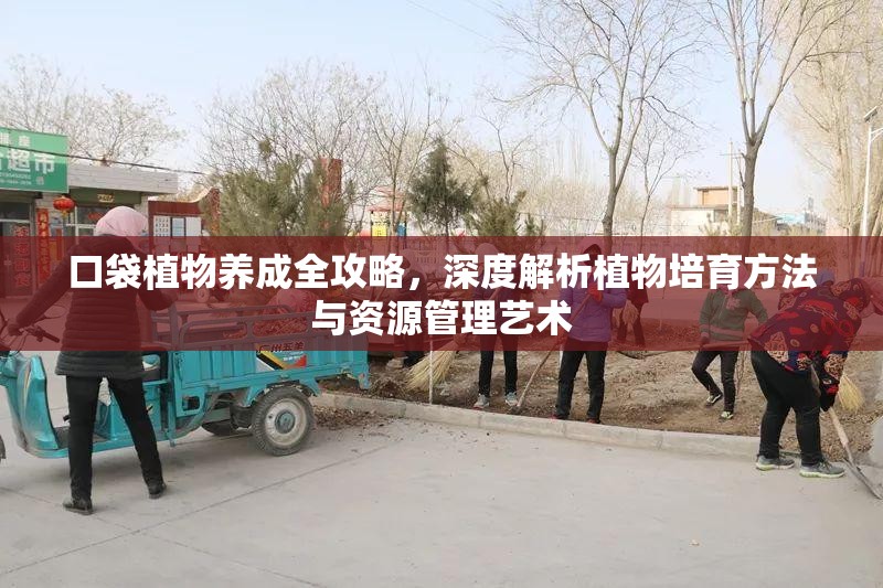 口袋植物养成全攻略，深度解析植物培育方法与资源管理艺术