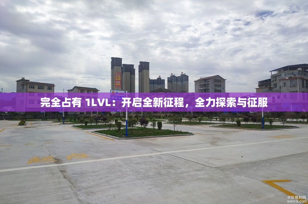 完全占有 1LVL：开启全新征程，全力探索与征服