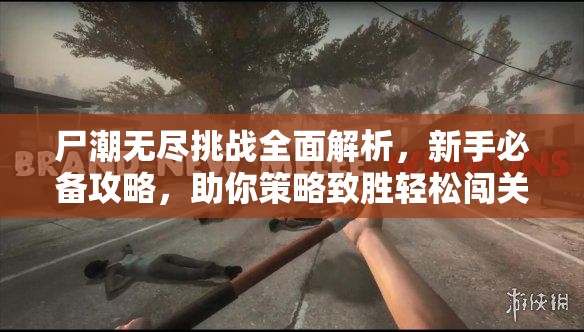 尸潮无尽挑战全面解析，新手必备攻略，助你策略致胜轻松闯关秘籍