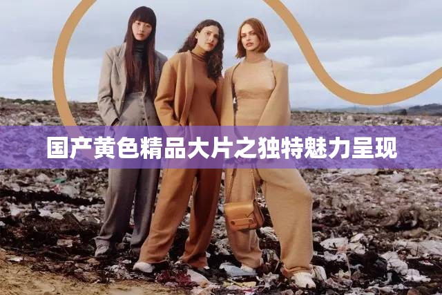 国产黄色精品大片之独特魅力呈现