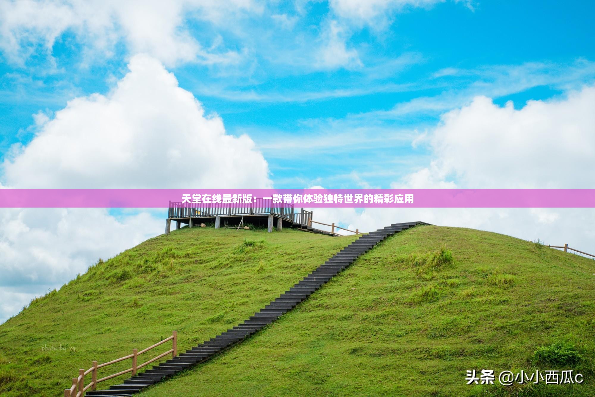 天堂在线最新版：一款带你体验独特世界的精彩应用