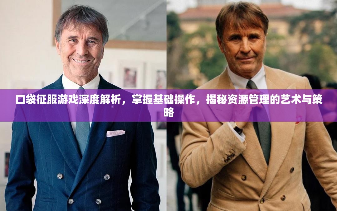 口袋征服游戏深度解析，掌握基础操作，揭秘资源管理的艺术与策略