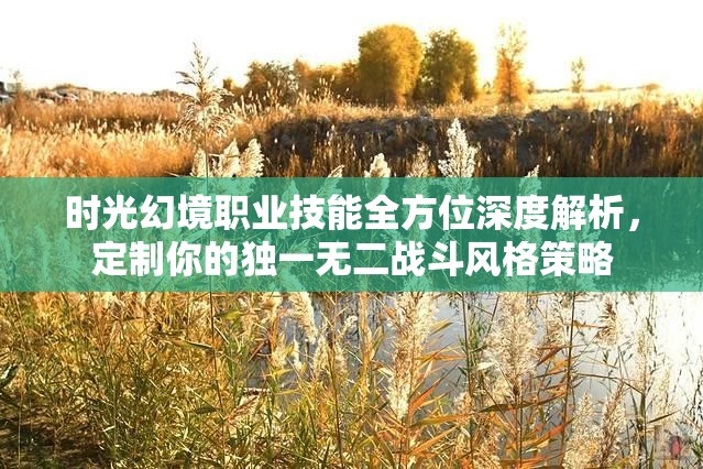 时光幻境职业技能全方位深度解析，定制你的独一无二战斗风格策略