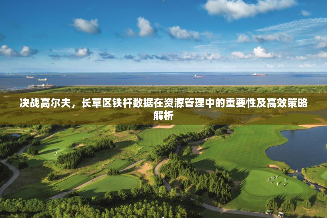 决战高尔夫，长草区铁杆数据在资源管理中的重要性及高效策略解析