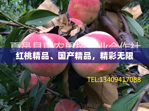 红桃精品、国产精品，精彩无限