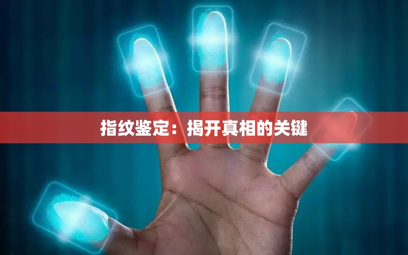 指纹鉴定：揭开真相的关键