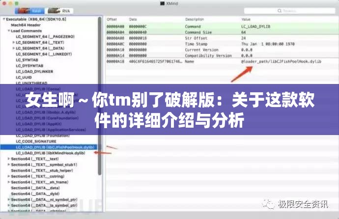 女生啊～你tm别了破解版：关于这款软件的详细介绍与分析