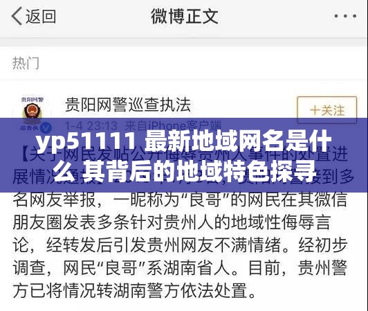 yp51111 最新地域网名是什么 其背后的地域特色探寻
