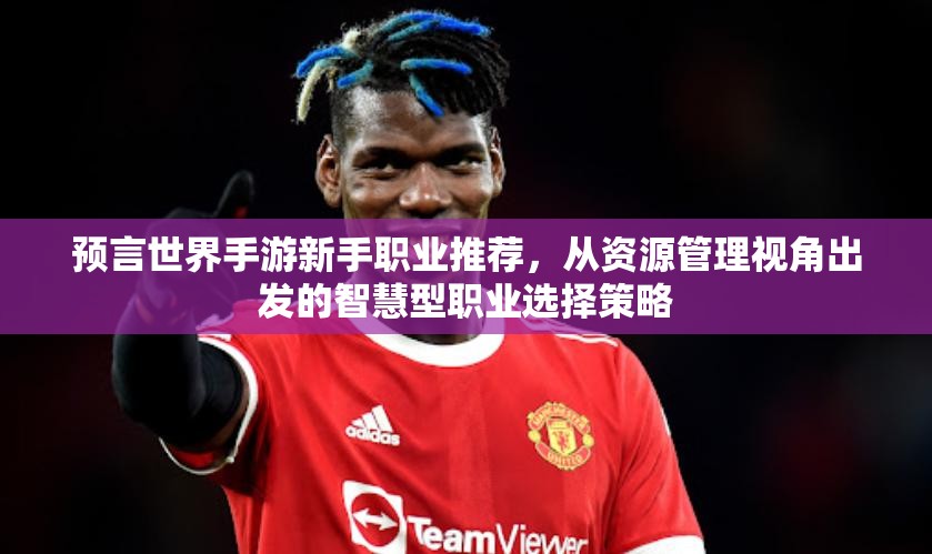预言世界手游新手职业推荐，从资源管理视角出发的智慧型职业选择策略