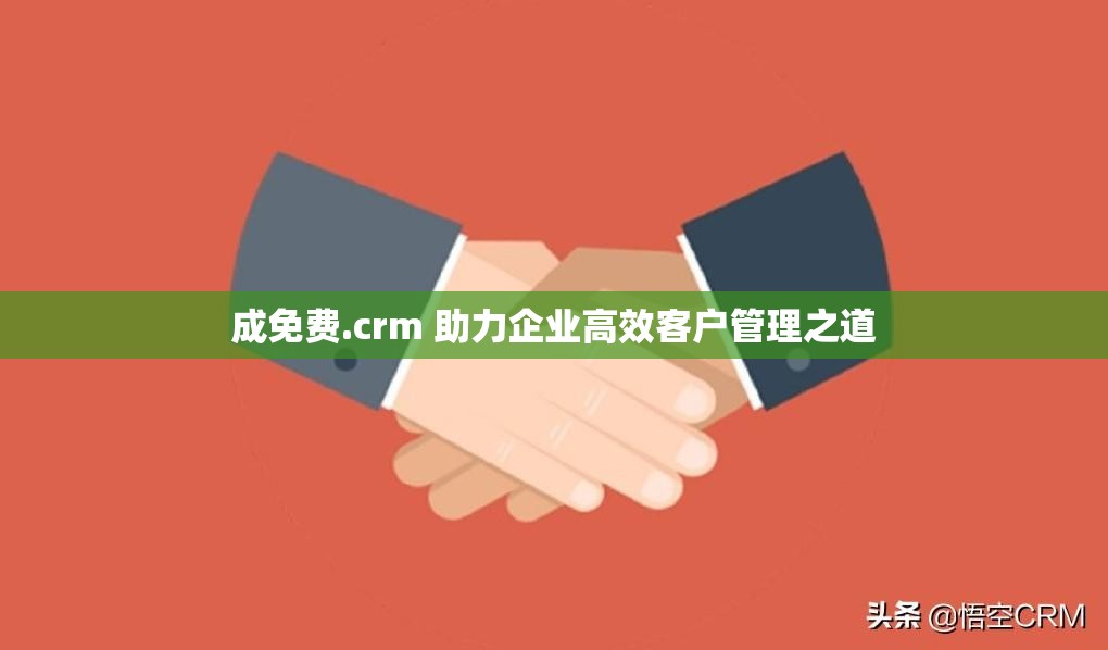 成免费.crm 助力企业高效客户管理之道