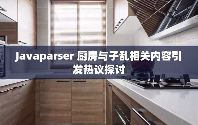 Javaparser 厨房与子乱相关内容引发热议探讨