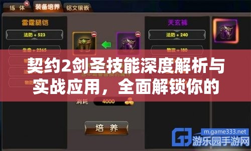 契约2剑圣技能深度解析与实战应用，全面解锁你的终极战斗力指南