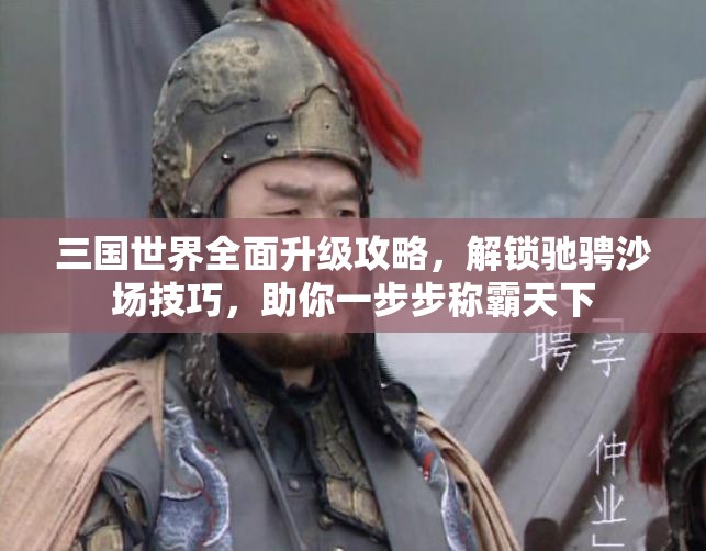三国世界全面升级攻略，解锁驰骋沙场技巧，助你一步步称霸天下