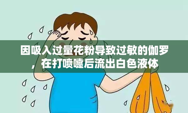 因吸入过量花粉导致过敏的伽罗，在打喷嚏后流出白色液体