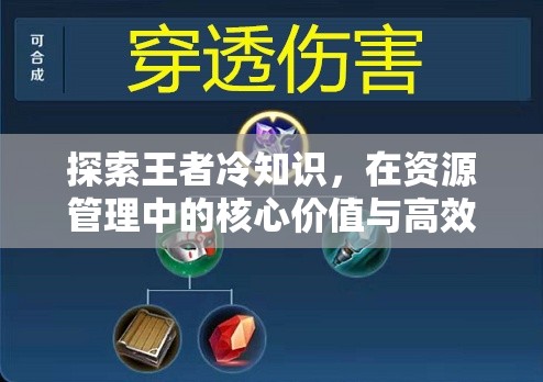 探索王者冷知识，在资源管理中的核心价值与高效实战应用策略