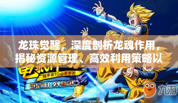 龙珠觉醒，深度剖析龙魂作用，揭秘资源管理、高效利用策略以最大化其价值