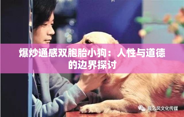 爆炒通感双胞胎小狗：人性与道德的边界探讨