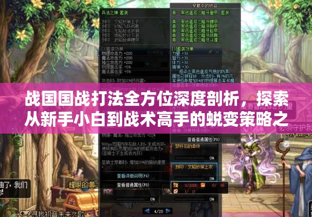 战国国战打法全方位深度剖析，探索从新手小白到战术高手的蜕变策略之路