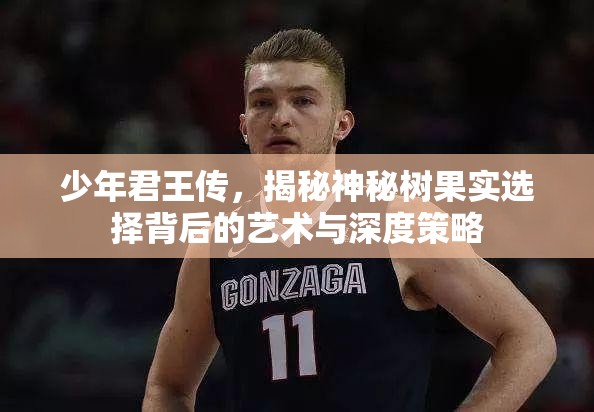 少年君王传，揭秘神秘树果实选择背后的艺术与深度策略