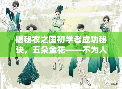 揭秘衣之国初学者成功秘诀，五朵金花——不为人知的秘密武器