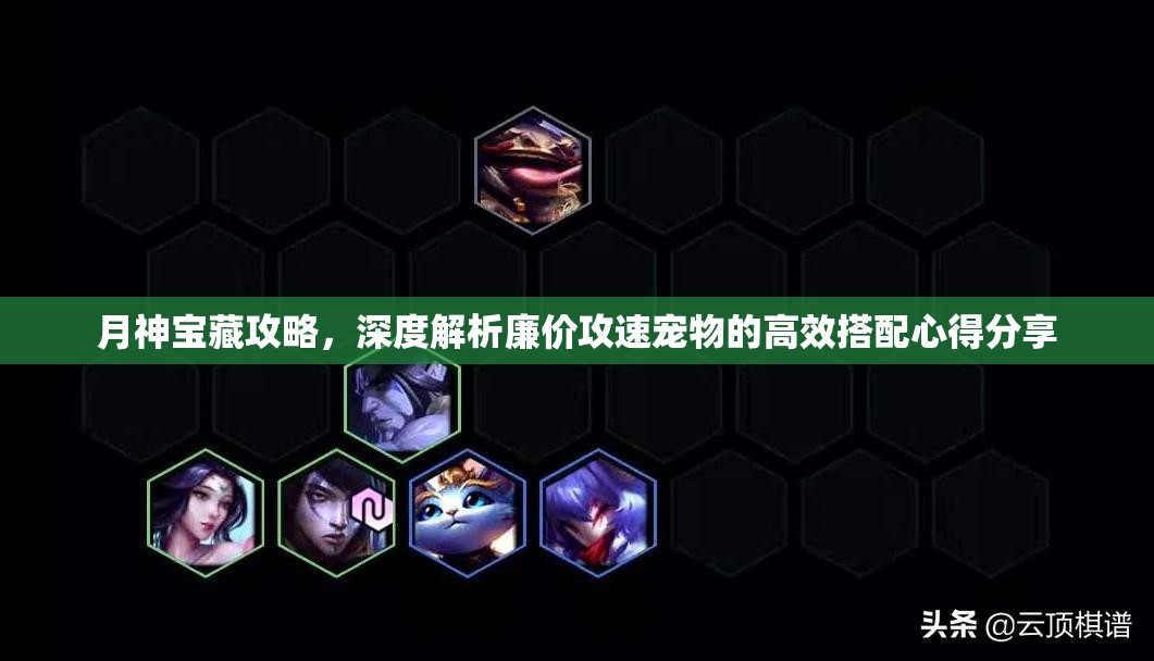 月神宝藏攻略，深度解析廉价攻速宠物的高效搭配心得分享