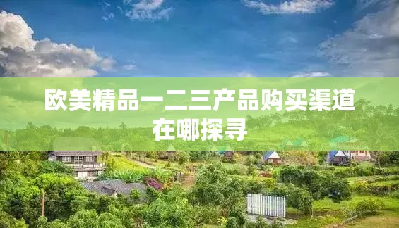 欧美精品一二三产品购买渠道在哪探寻