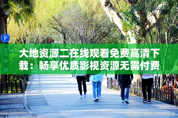 大地资源二在线观看免费高清下载：畅享优质影视资源无需付费