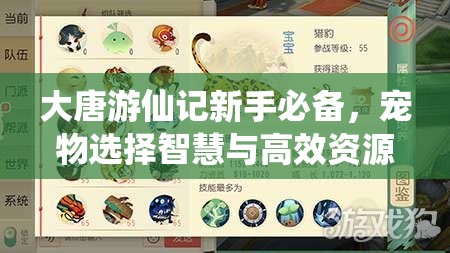 大唐游仙记新手必备，宠物选择智慧与高效资源管理策略指南