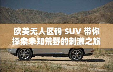 欧美无人区码 SUV 带你探索未知荒野的刺激之旅