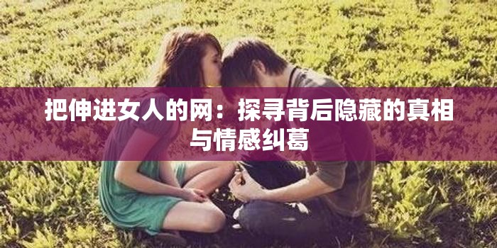 把伸进女人的网：探寻背后隐藏的真相与情感纠葛