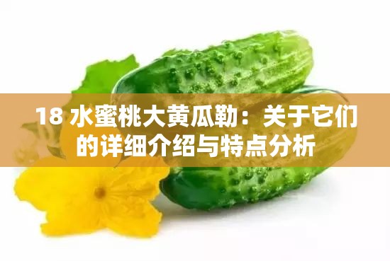 18 水蜜桃大黄瓜勒：关于它们的详细介绍与特点分析
