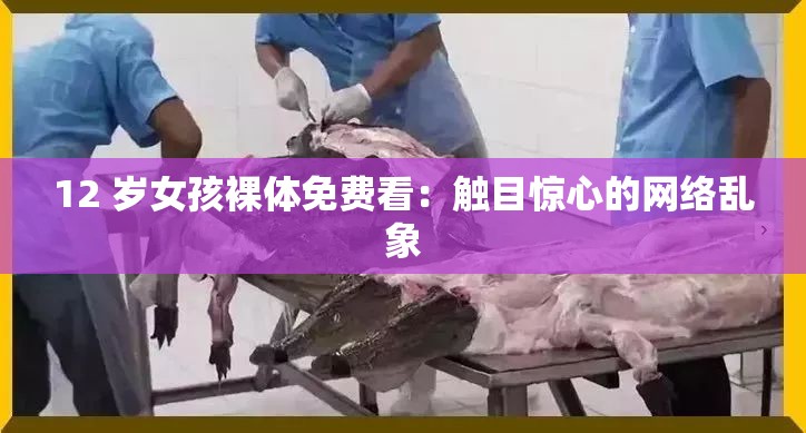 12 岁女孩裸体免费看：触目惊心的网络乱象