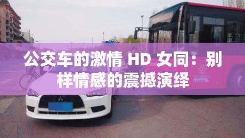公交车的激情 HD 女同：别样情感的震撼演绎