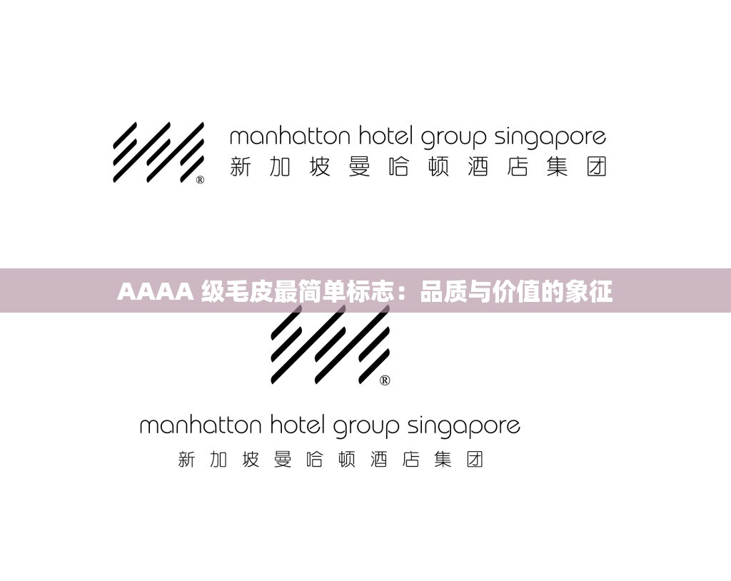 AAAA 级毛皮最简单标志：品质与价值的象征