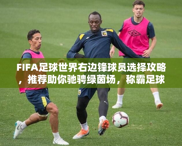 FIFA足球世界右边锋球员选择攻略，推荐助你驰骋绿茵场，称霸足球界