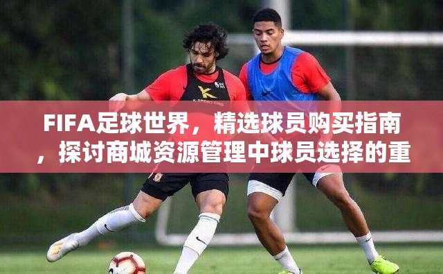 FIFA足球世界，精选球员购买指南，探讨商城资源管理中球员选择的重要性与策略