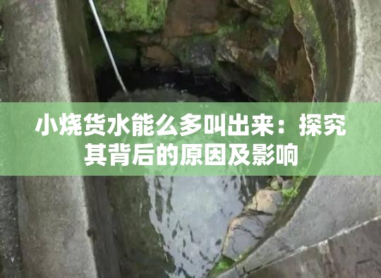小烧货水能么多叫出来：探究其背后的原因及影响