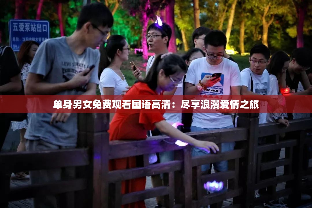 单身男女免费观看国语高清：尽享浪漫爱情之旅