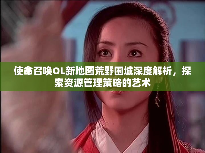 使命召唤OL新地图荒野围城深度解析，探索资源管理策略的艺术