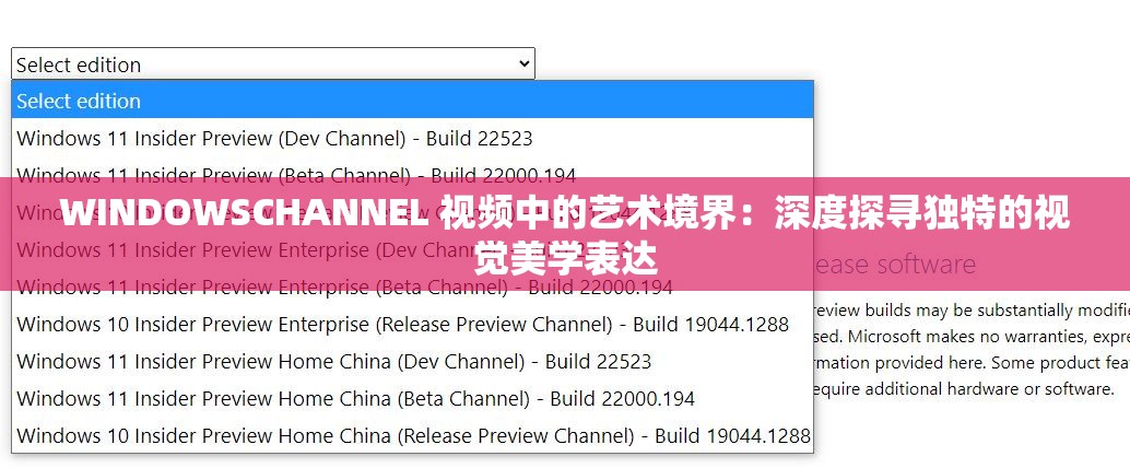WINDOWSCHANNEL 视频中的艺术境界：深度探寻独特的视觉美学表达