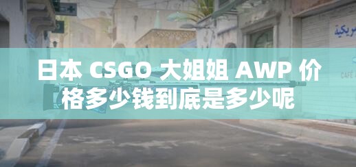 日本 CSGO 大姐姐 AWP 价格多少钱到底是多少呢