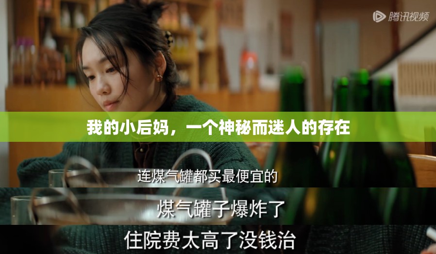 我的小后妈，一个神秘而迷人的存在
