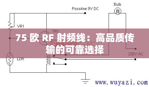 75 欧 RF 射频线：高品质传输的可靠选择