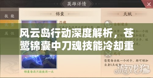 风云岛行动深度解析，苍鹭锦囊中刀魂技能冷却重置的独门奥秘