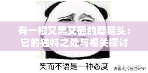 有一根又黑又硬的蘑菇头：它的独特之处与相关探讨