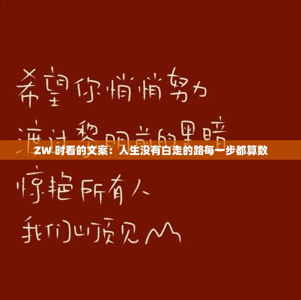 ZW 时看的文案：人生没有白走的路每一步都算数