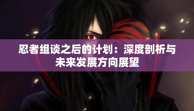 忍者组谈之后的计划：深度剖析与未来发展方向展望