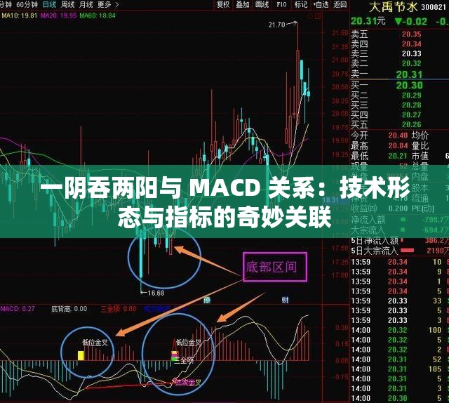 一阴吞两阳与 MACD 关系：技术形态与指标的奇妙关联