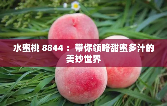 水蜜桃 8844 ：带你领略甜蜜多汁的美妙世界